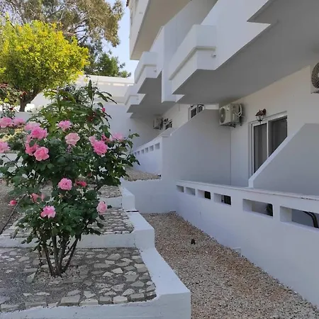 Arocaria In With Garden , Mountain And Sea View Φαληράκι
