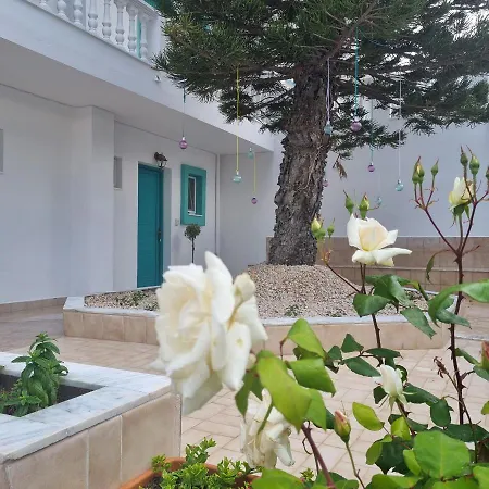 Arocaria In With Garden , Mountain And Sea View