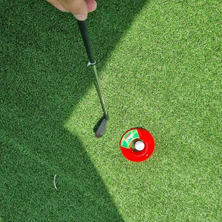 Arocaria In With Garden , Mountain And Sea View *