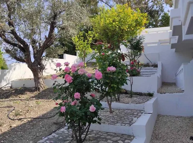 Arocaria In With Garden , Mountain And Sea View Apartament