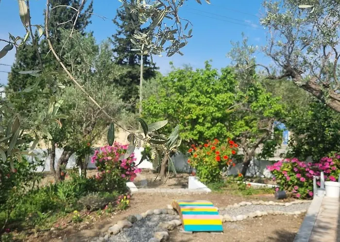 Arocaria In With Garden , Mountain And Sea View Faliraki