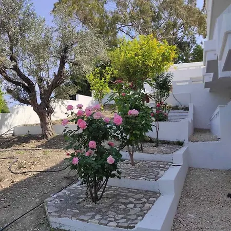 Arocaria In With Garden , Mountain And Sea View Apartament
