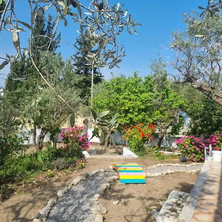 Arocaria In With Garden , Mountain And Sea View Фалираки
