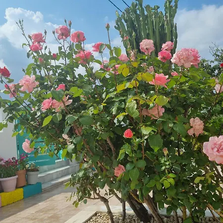 Arocaria In With Garden , Mountain And Sea View Фалираки