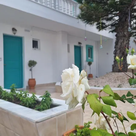 Apartment Arocaria In With Garden , Mountain And Sea View