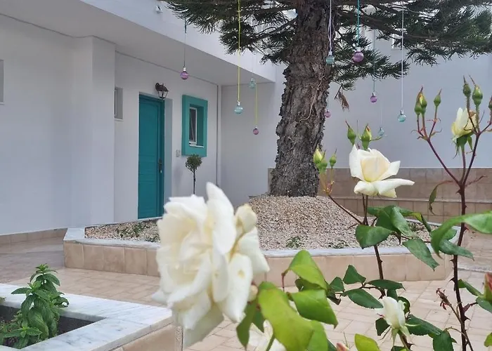 Arocaria In With Garden , Mountain And Sea View