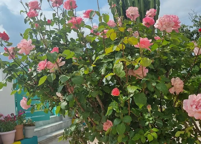 Arocaria In With Garden , Mountain And Sea View Faliraki